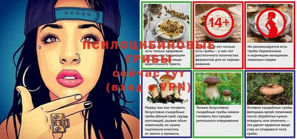 соль ск Балахна