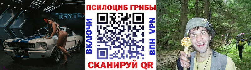 как найти наркотики Шарья Галлюциногенные грибы GOLDEN TEACHER